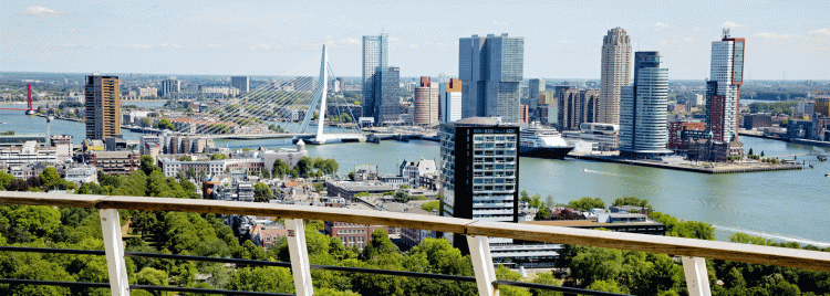 Rotterdam view. Photo by Rotterdam Partners. Photo.