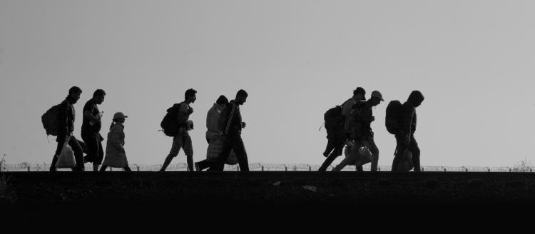 Refugees and migrants cross the border between Serbia and Hungary. © Hollandse Hoogte/Warren Richardson/UNHCR Photo.